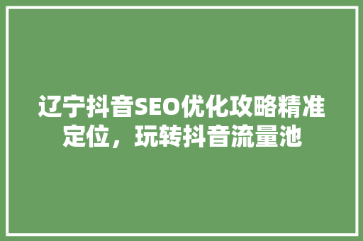 辽宁抖音SEO优化攻略精准定位，玩转抖音流量池