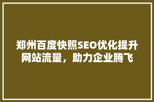 郑州百度快照SEO优化提升网站流量，助力企业腾飞