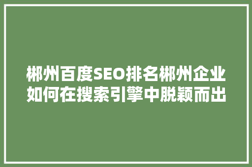 郴州百度SEO排名郴州企业如何在搜索引擎中脱颖而出