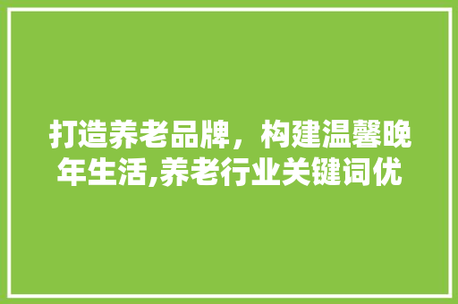 打造养老品牌，构建温馨晚年生活,养老行业关键词优化步骤
