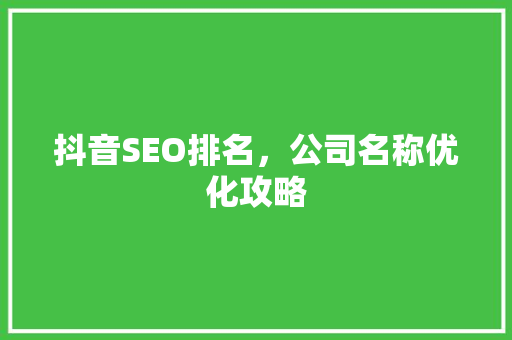 抖音SEO排名，公司名称优化攻略