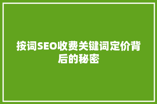 按词SEO收费关键词定价背后的秘密
