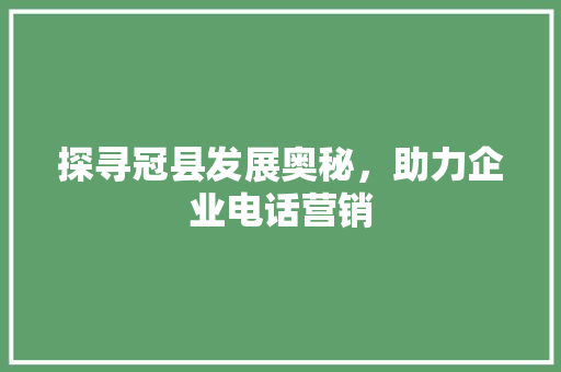 探寻冠县发展奥秘，助力企业电话营销 友链在线