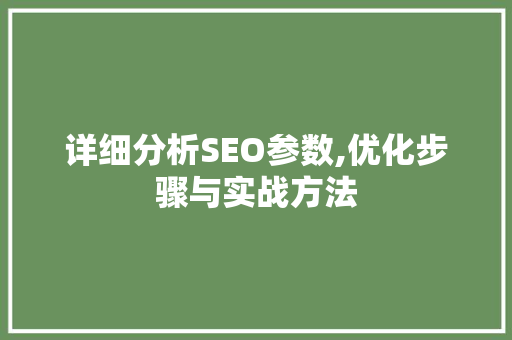 详细分析SEO参数,优化步骤与实战方法