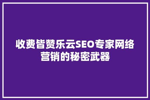 收费皆赞乐云SEO专家网络营销的秘密武器