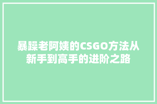 暴躁老阿姨的CSGO方法从新手到高手的进阶之路