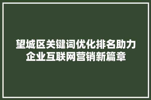望城区关键词优化排名助力企业互联网营销新篇章