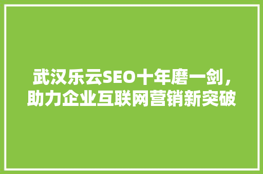 武汉乐云SEO十年磨一剑，助力企业互联网营销新突破