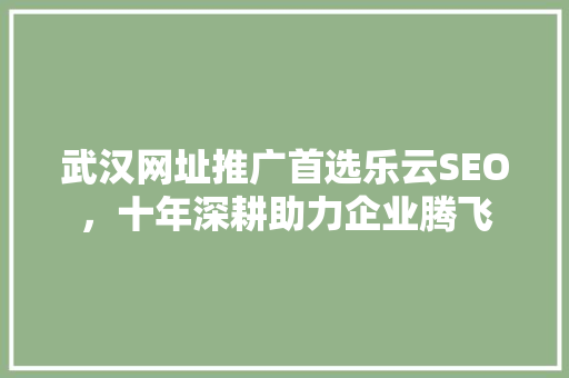 武汉网址推广首选乐云SEO，十年深耕助力企业腾飞