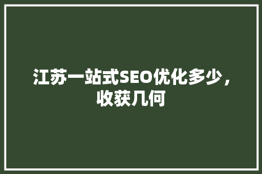 江苏一站式SEO优化多少，收获几何