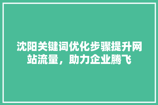 沈阳关键词优化步骤提升网站流量，助力企业腾飞