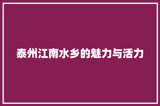 泰州江南水乡的魅力与活力