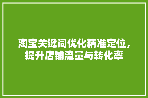 淘宝关键词优化精准定位，提升店铺流量与转化率 Web前端