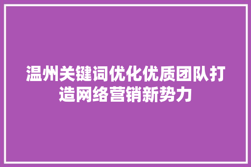 温州关键词优化优质团队打造网络营销新势力