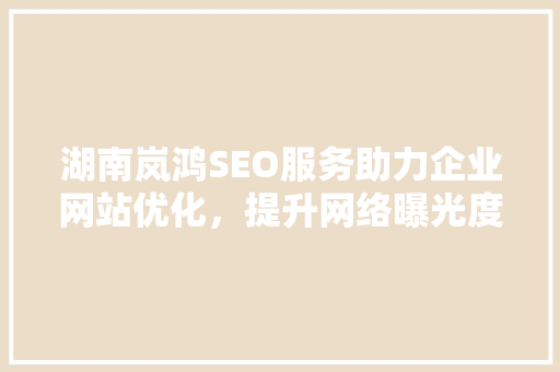 湖南岚鸿SEO服务助力企业网站优化，提升网络曝光度
