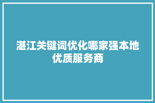 湛江关键词优化哪家强本地优质服务商