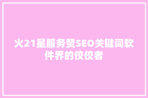火21星服务赞SEO关键词软件界的佼佼者