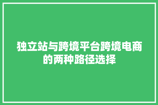 独立站与跨境平台跨境电商的两种路径选择