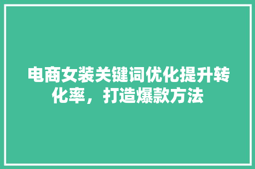 电商女装关键词优化提升转化率，打造爆款方法 WordPress教程