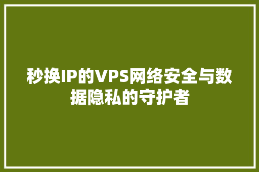秒换IP的VPS网络安全与数据隐私的守护者