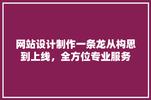 网站设计制作一条龙从构思到上线，全方位专业服务 WordPress教程