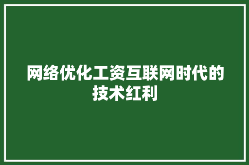 网络优化工资互联网时代的技术红利