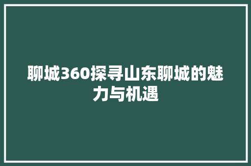 聊城360探寻山东聊城的魅力与机遇