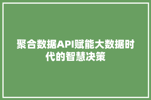 聚合数据API赋能大数据时代的智慧决策