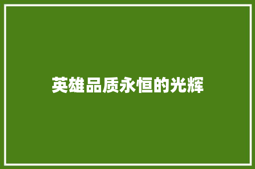 英雄品质永恒的光辉