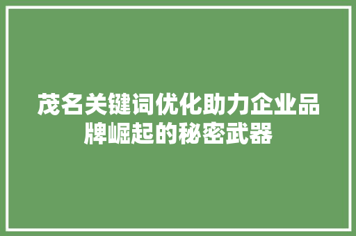 茂名关键词优化助力企业品牌崛起的秘密武器
