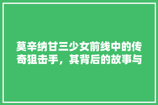 莫辛纳甘三少女前线中的传奇狙击手，其背后的故事与战术价值