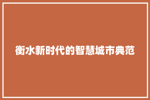 衡水新时代的智慧城市典范