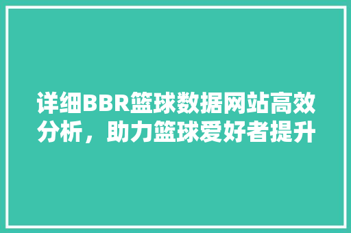 详细BBR篮球数据网站高效分析，助力篮球爱好者提升竞技水平
