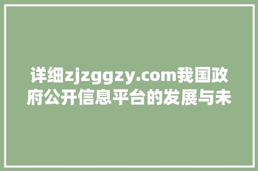 详细zjzggzy.com我国政府公开信息平台的发展与未来 友链在线