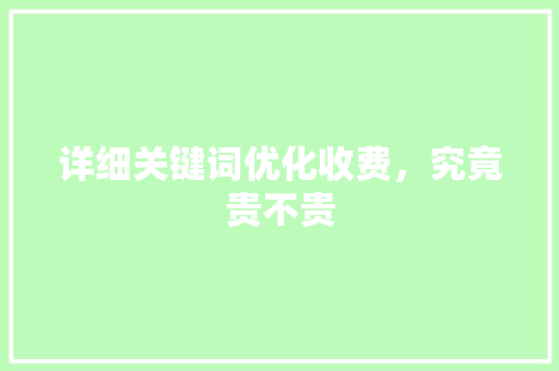 详细关键词优化收费，究竟贵不贵