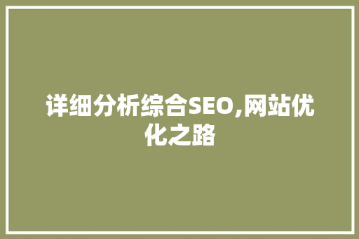 详细分析综合SEO,网站优化之路 详细分析综合SEO,网站优化之路 建站教程