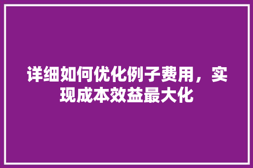 详细如何优化例子费用，实现成本效益最大化 建站教程