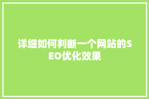 详细如何判断一个网站的SEO优化效果