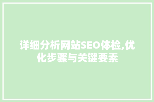 详细分析网站SEO体检,优化步骤与关键要素