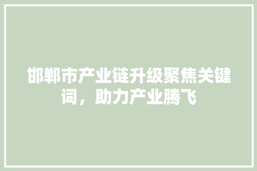 邯郸市产业链升级聚焦关键词，助力产业腾飞