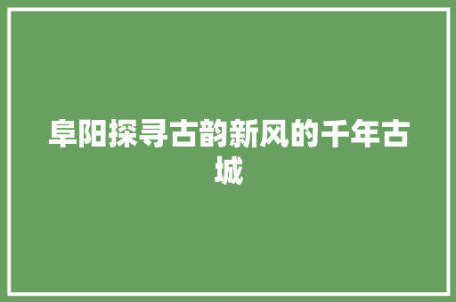 阜阳探寻古韵新风的千年古城
