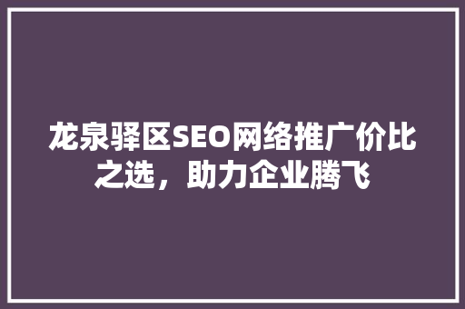龙泉驿区SEO网络推广价比之选，助力企业腾飞 WordPress教程