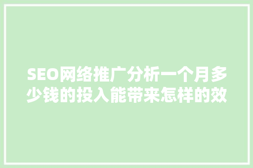 SEO网络推广分析一个月多少钱的投入能带来怎样的效果