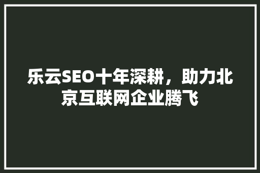乐云SEO十年深耕，助力北京互联网企业腾飞