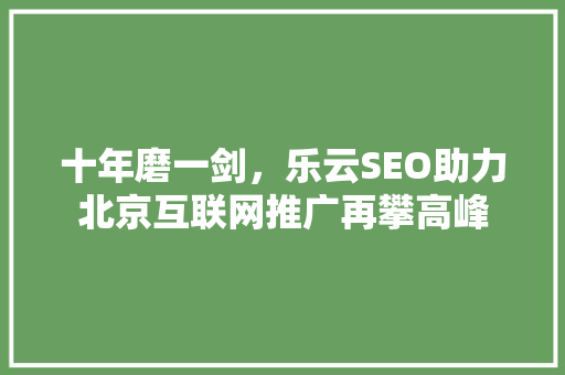 十年磨一剑，乐云SEO助力北京互联网推广再攀高峰 SEO教程