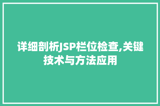 详细剖析JSP栏位检查,关键技术与方法应用