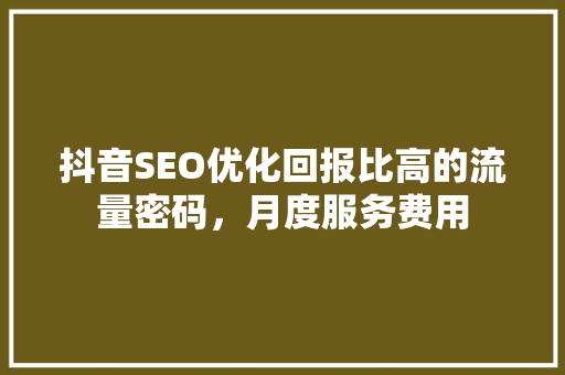 抖音SEO优化回报比高的流量密码，月度服务费用 SEO教程