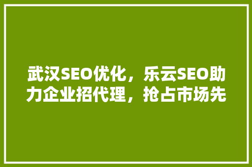 武汉SEO优化，乐云SEO助力企业招代理，抢占市场先机 WordPress教程
