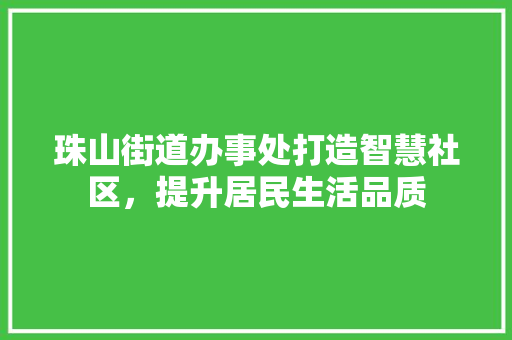 珠山街道办事处打造智慧社区，提升居民生活品质