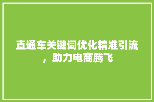 直通车关键词优化精准引流，助力电商腾飞